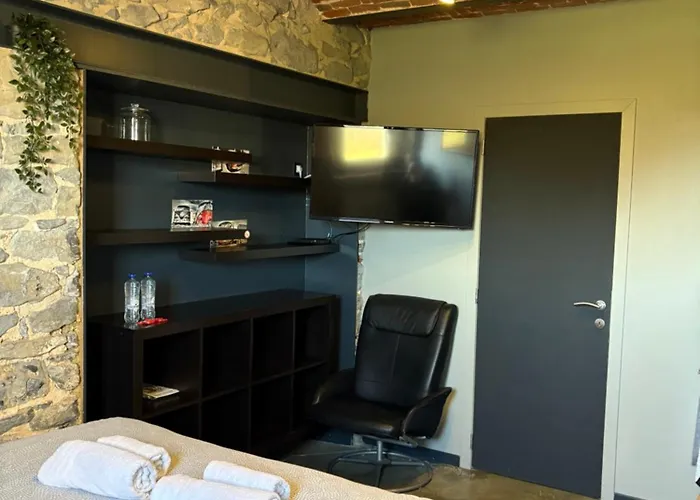 Dailly Studio Dailly